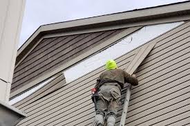 Best Custom Siding Design  in Richwood, TX